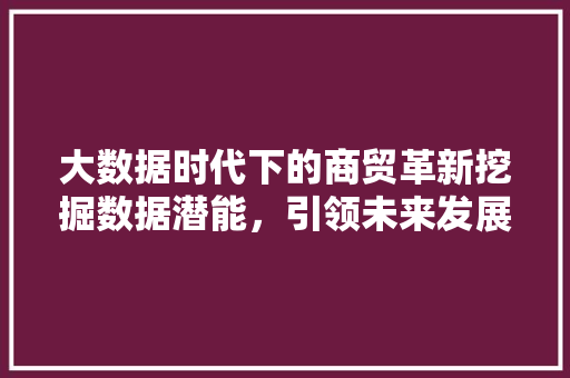 大数据时代下的商贸革新挖掘数据潜能，引领未来发展