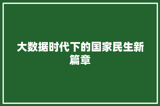 大数据时代下的国家民生新篇章 网络技术