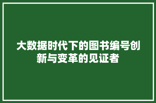 大数据时代下的图书编号创新与变革的见证者 电脑配置