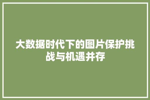大数据时代下的图片保护挑战与机遇并存