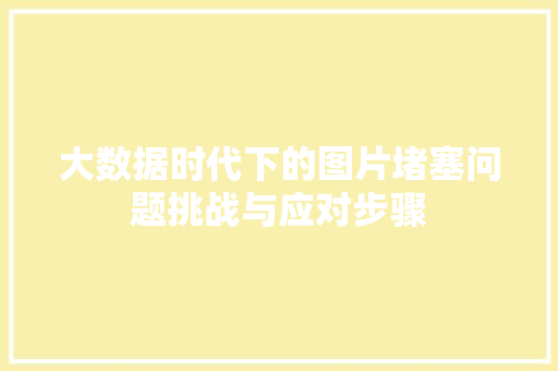大数据时代下的图片堵塞问题挑战与应对步骤