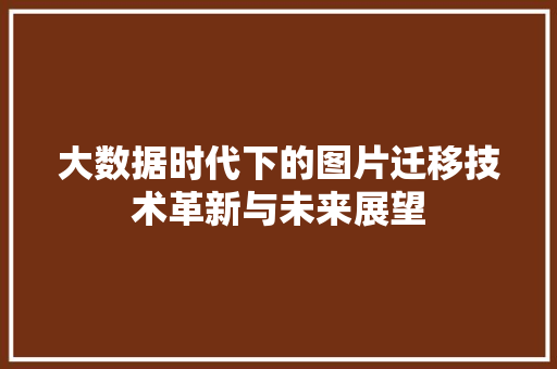 大数据时代下的图片迁移技术革新与未来展望