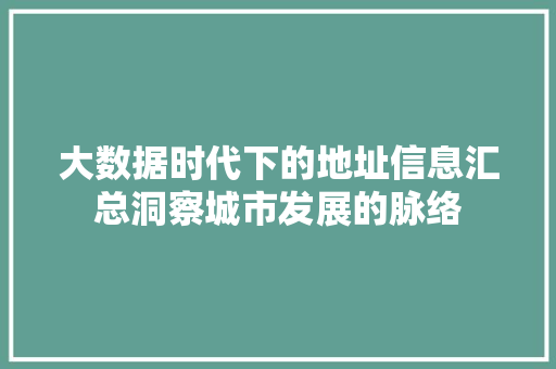 大数据时代下的地址信息汇总洞察城市发展的脉络
