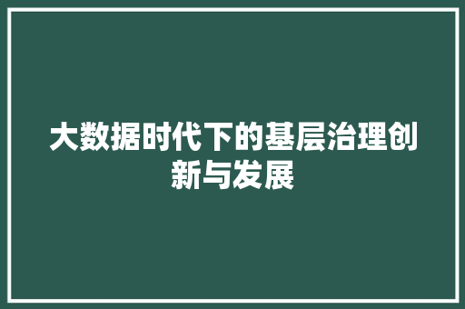 大数据时代下的基层治理创新与发展