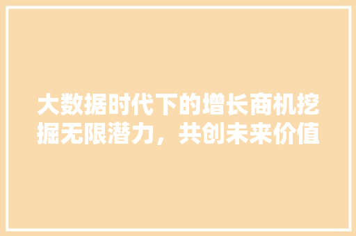 大数据时代下的增长商机挖掘无限潜力，共创未来价值