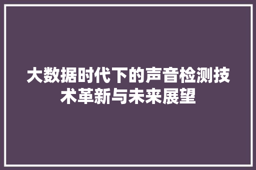 大数据时代下的声音检测技术革新与未来展望