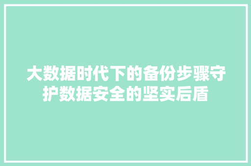 大数据时代下的备份步骤守护数据安全的坚实后盾 操作系统