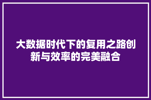 大数据时代下的复用之路创新与效率的完美融合