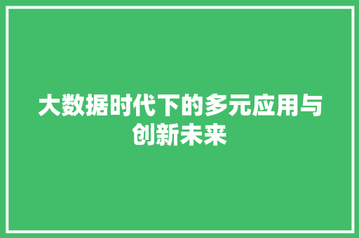 大数据时代下的多元应用与创新未来