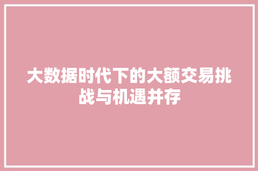 大数据时代下的大额交易挑战与机遇并存
