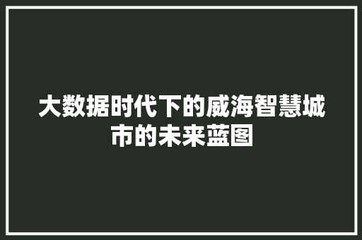 大数据时代下的威海智慧城市的未来蓝图