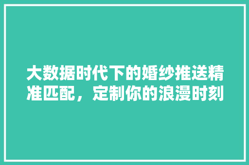 大数据时代下的婚纱推送精准匹配，定制你的浪漫时刻