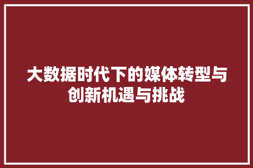 大数据时代下的媒体转型与创新机遇与挑战