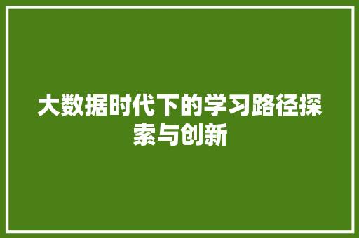 大数据时代下的学习路径探索与创新