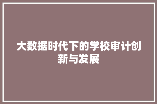 大数据时代下的学校审计创新与发展 大数据时代下的学校审计创新与发展