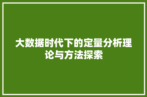 大数据时代下的定量分析理论与方法探索 编程语言