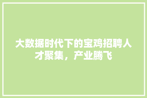 大数据时代下的宝鸡招聘人才聚集，产业腾飞 电脑基础