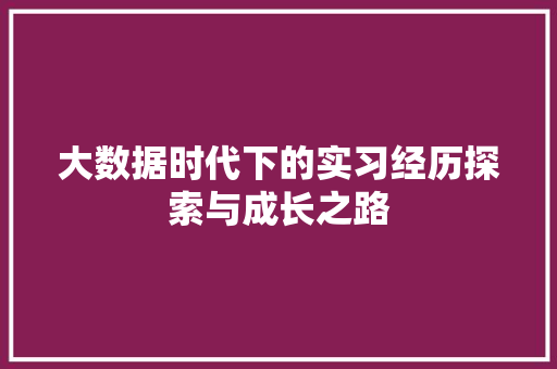 大数据时代下的实习经历探索与成长之路 电脑配置 大数据时代下的实习经历探索与成长之路 电脑配置
