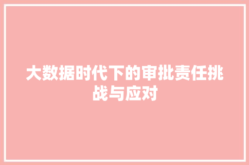 大数据时代下的审批责任挑战与应对