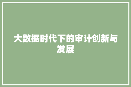 大数据时代下的审计创新与发展