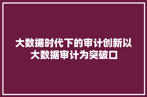 大数据时代下的审计创新以大数据审计为突破口