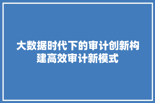 大数据时代下的审计创新构建高效审计新模式