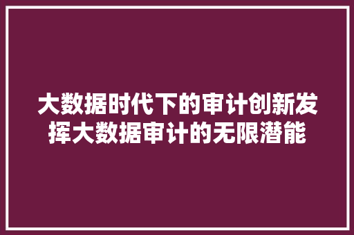 大数据时代下的审计创新发挥大数据审计的无限潜能
