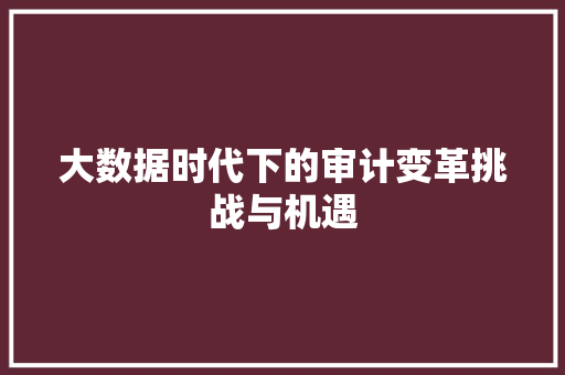 大数据时代下的审计变革挑战与机遇