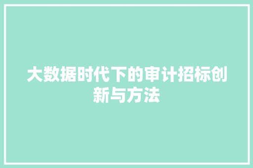 大数据时代下的审计招标创新与方法