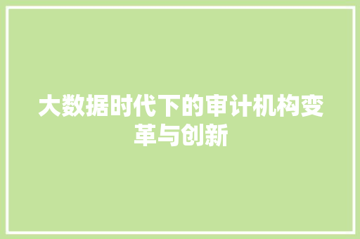 大数据时代下的审计机构变革与创新