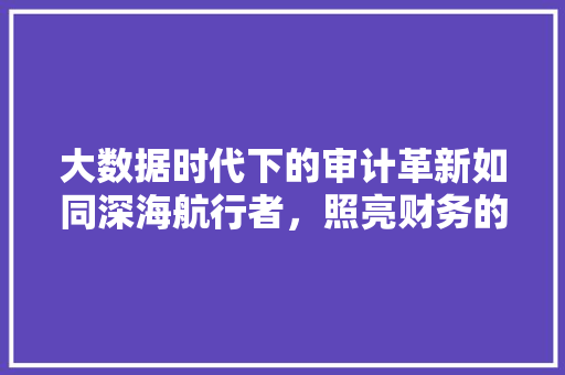 大数据时代下的审计革新如同深海航行者，照亮财务的“盲点” 电脑故障维修