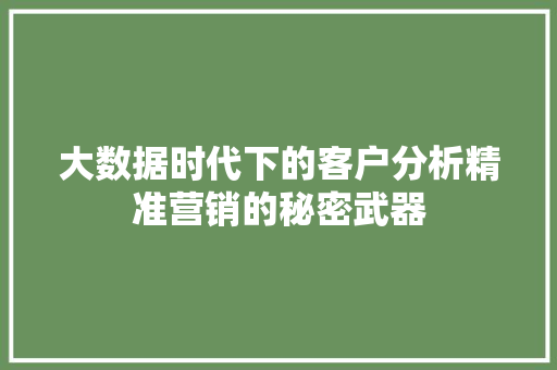 大数据时代下的客户分析精准营销的秘密武器 电脑基础 大数据时代下的客户分析精准营销的秘密武器 电脑基础