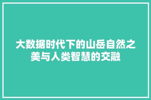 大数据时代下的山岳自然之美与人类智慧的交融 电脑配置