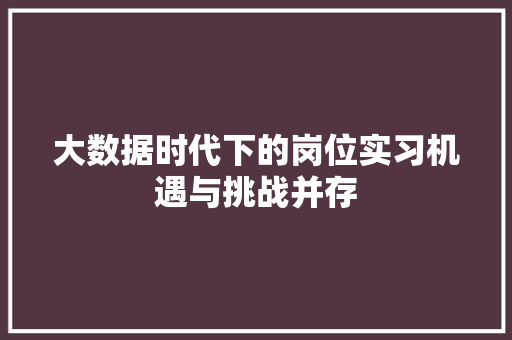 大数据时代下的岗位实习机遇与挑战并存 大数据时代下的岗位实习机遇与挑战并存
