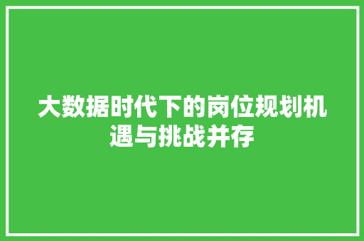 大数据时代下的岗位规划机遇与挑战并存