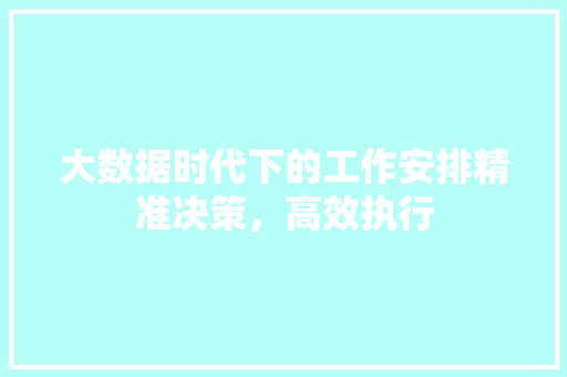 大数据时代下的工作安排精准决策，高效执行