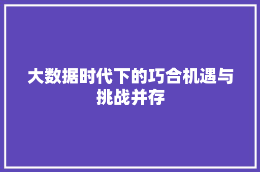大数据时代下的巧合机遇与挑战并存