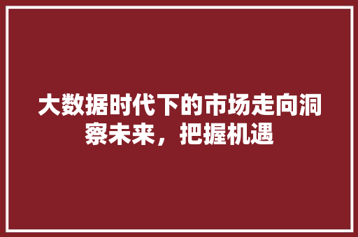 大数据时代下的市场走向洞察未来，把握机遇