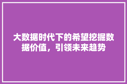 大数据时代下的希望挖掘数据价值，引领未来趋势