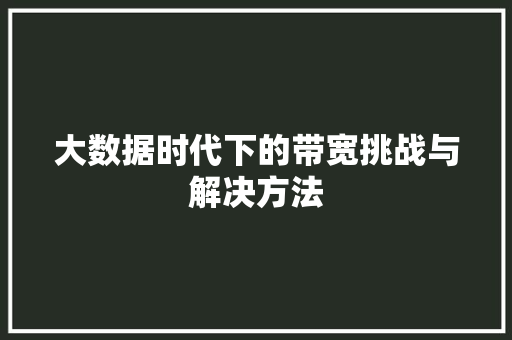 大数据时代下的带宽挑战与解决方法