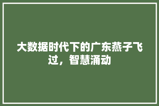 大数据时代下的广东燕子飞过，智慧涌动