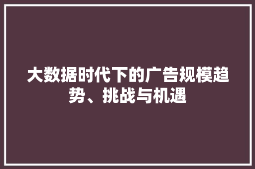 大数据时代下的广告规模趋势、挑战与机遇