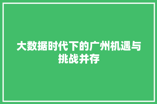 大数据时代下的广州机遇与挑战并存