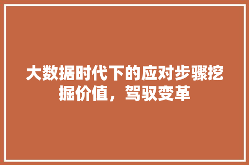 大数据时代下的应对步骤挖掘价值，驾驭变革