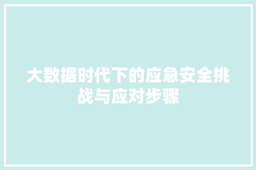 大数据时代下的应急安全挑战与应对步骤