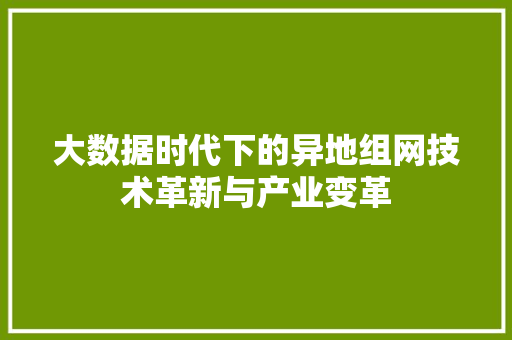 大数据时代下的异地组网技术革新与产业变革