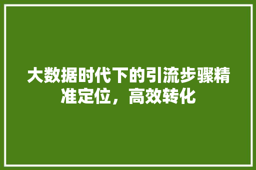 大数据时代下的引流步骤精准定位，高效转化