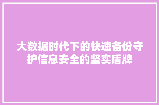 大数据时代下的快速备份守护信息安全的坚实盾牌 电脑故障维修