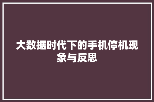 大数据时代下的手机停机现象与反思