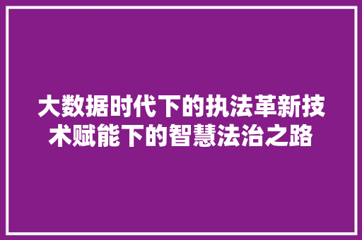 大数据时代下的执法革新技术赋能下的智慧法治之路